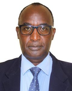 Prof. Stanley M. Makindi - Ag. Deputy Vice Chancellor (Research, Innovation & Linkages)
